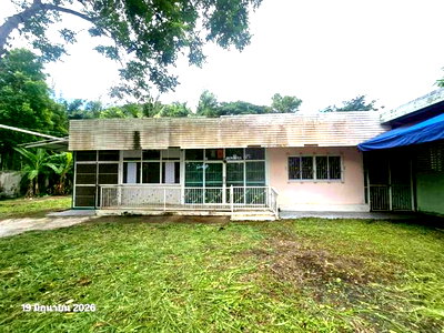 บ้านเดี่ยว ตาก : บ้านเดี่ยว 179 ตร.วา พฤกษากาสะลอง แม่สอด ตาก 3.6M