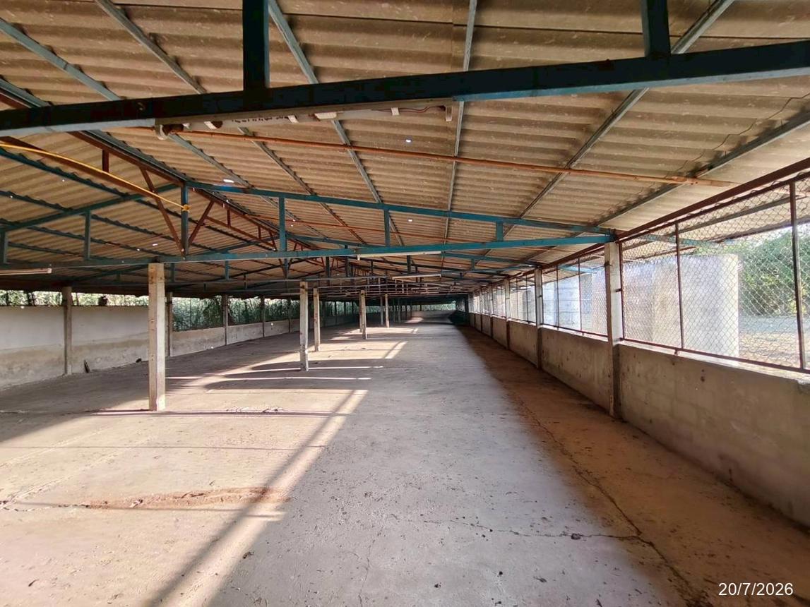 picture FACTORY 1848 Sq.w. Phu Khieo Chaiyaphum for 4.3M - 34/47