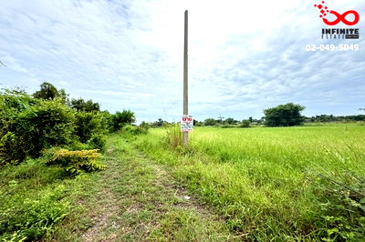 ที่ดิน โชคชัย โคราช : ขายที่ดิน 200 ตร.ว. ถนนโชคชัย - เดชอุดม ท่าเยี่ยม โชคชัย นครราชสีมา ใกล้โรงงาน CP และไทยฟู้ดส์ เหมาะสร้างห้องพัก