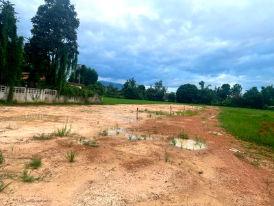 Land for sale Doi Saket Chiang Mai  : Land for sale in Chiang Mai, Tha Rua, Doi Saket.