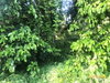 listing thumbnail image 9