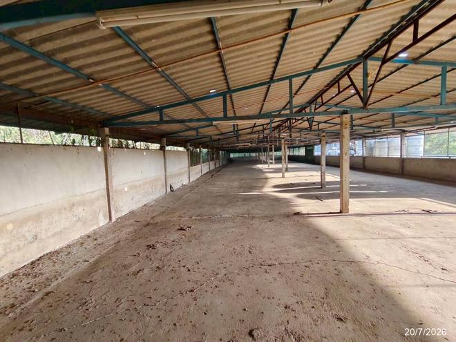 picture FACTORY 1848 Sq.w. Phu Khieo Chaiyaphum for 4.3M - 15/47