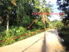 listing thumbnail image 11