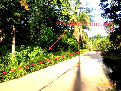 Land for sale Ban Na Doem Surat Thani : LAND 321.8 Sq.w. Ban Na Doem Surat Thani for 547,000