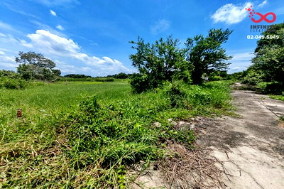 ที่ดิน เขตหนองจอก : ขายที่ดิน 522 ตร.ว. สนามกอล์ฟ ฟีนิกซ์โกลด์ สุวินทวงศ์ 96 ลำผักชี หนองจอก 
