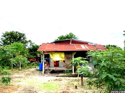 บ้านเดี่ยว เลย : บ้านเดี่ยว 191.5 ตร.วา เอราวัณ เลย 1.4M