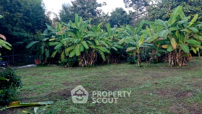 Land for sale Mae Rim Chiang Mai : Land For Sale In Mae Raem, Mae Rim, Chiang Mai (ID 3215967)