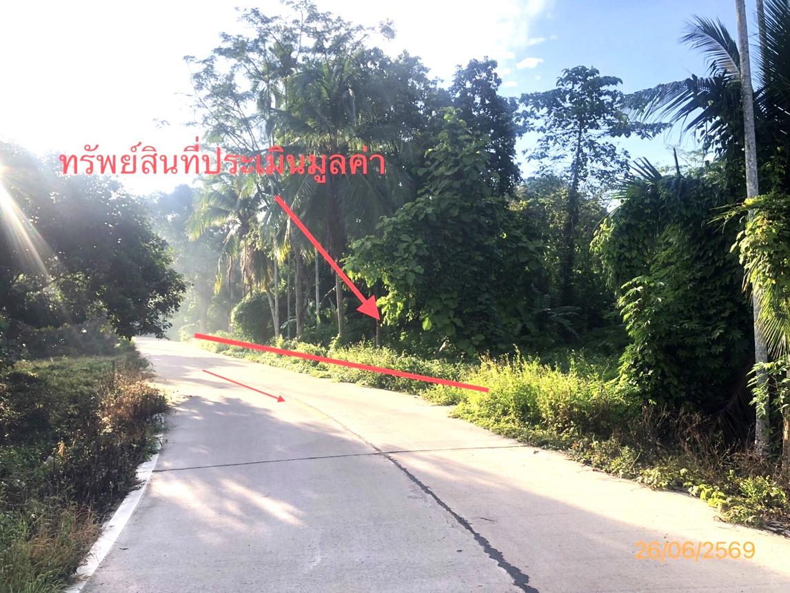 รูป ที่ดินว่างเปล่า 321.8 ตร.วา บ้านนาเดิม สุราษฎร์ธานี 547,000 - รูปที่ 13/25