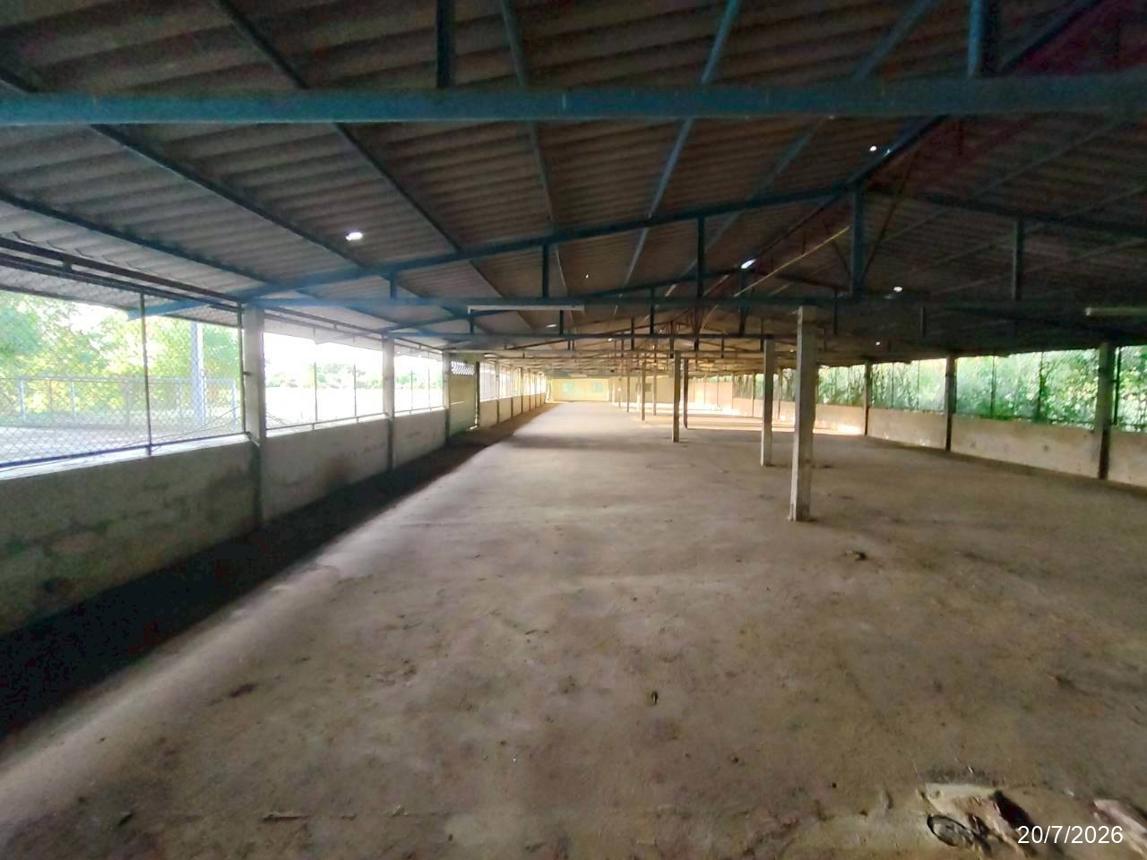picture FACTORY 1848 Sq.w. Phu Khieo Chaiyaphum for 4.3M - 33/47