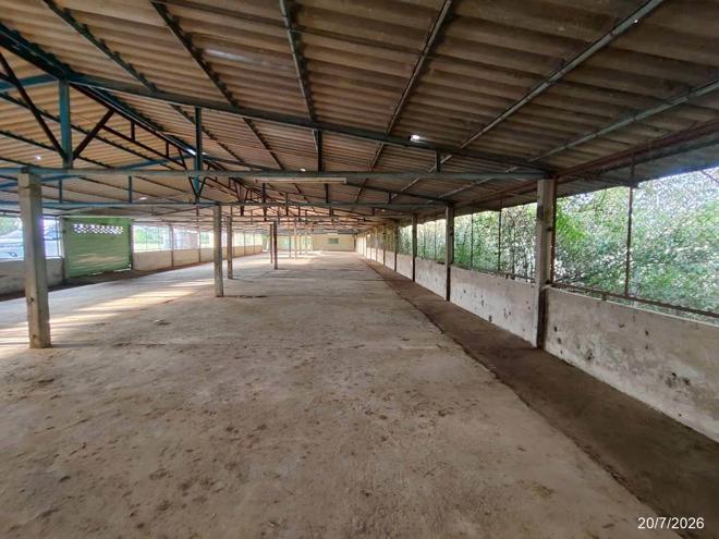 picture FACTORY 1848 Sq.w. Phu Khieo Chaiyaphum for 4.3M - 16/47