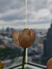 listing thumbnail image 28