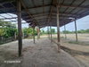 listing thumbnail image 28