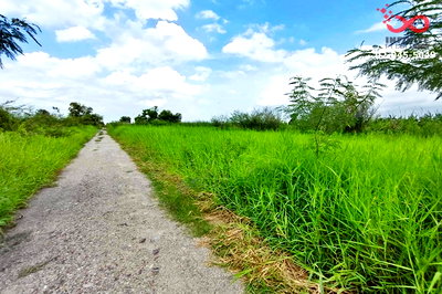 ที่ดิน วิทยาลัยเทคนิคธัญบุรี : ขายที่ดิน 3 ไร่ ลำลูกกา คลอง 12 ปทุมธานี ใกล้สนามกอล์ฟเรนวูดปาร์ค แปลงสวย 