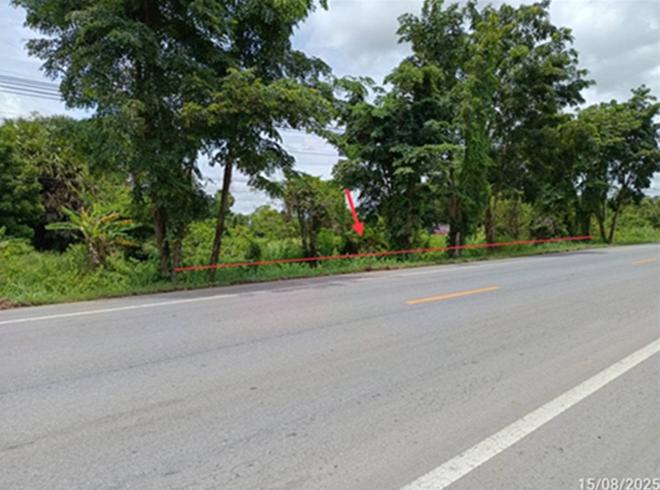 picture LAND 1482 Sq.w. Chum Phuang Nakhon Ratchasima for 3.3M - 2/21