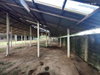 listing thumbnail image 37