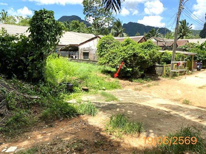 picture LAND 66.6 Sq.w. Muang Phangnga Phangnga for 1.5M - 4/15