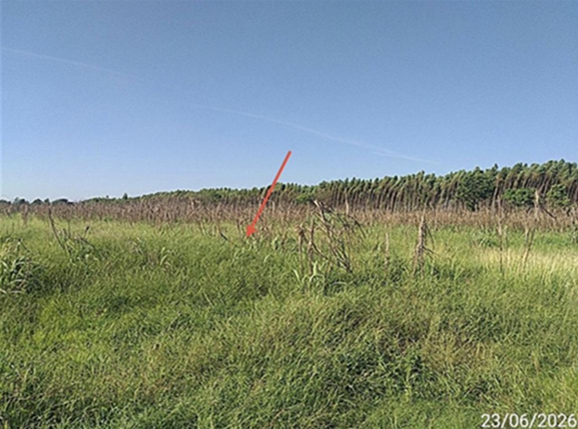 picture LAND 8416.6 Sq.w. Aranyaprathet Srakaeo for 9.4M - 18/25