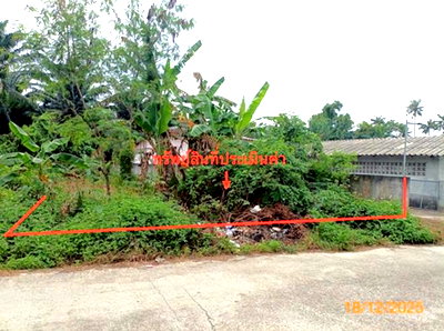 Land for sale : LAND 80 Sq.w. Sichon Nakhon Sri Thammarat for 640,000