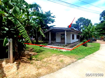 บ้านเดี่ยว เชียงใหม่ : บ้านเดี่ยว 174 ตร.วา พร้าว เชียงใหม่ 375,000