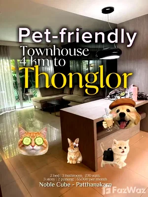 Townhouses for rent Bangkok : Noble Cube Pattanakarn --Pet friendly 6707913