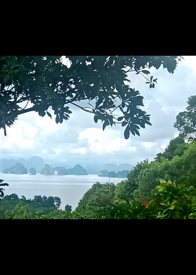 ขายที่ดิน : ที่ดินซีวิว บนเกาะยาว 10ไร่ ราคาเบาๆ