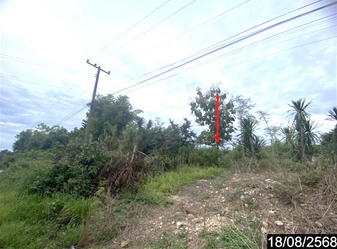 picture LAND 723 Sq.w. Wang Saphung Loei for 2.5M - 5/13
