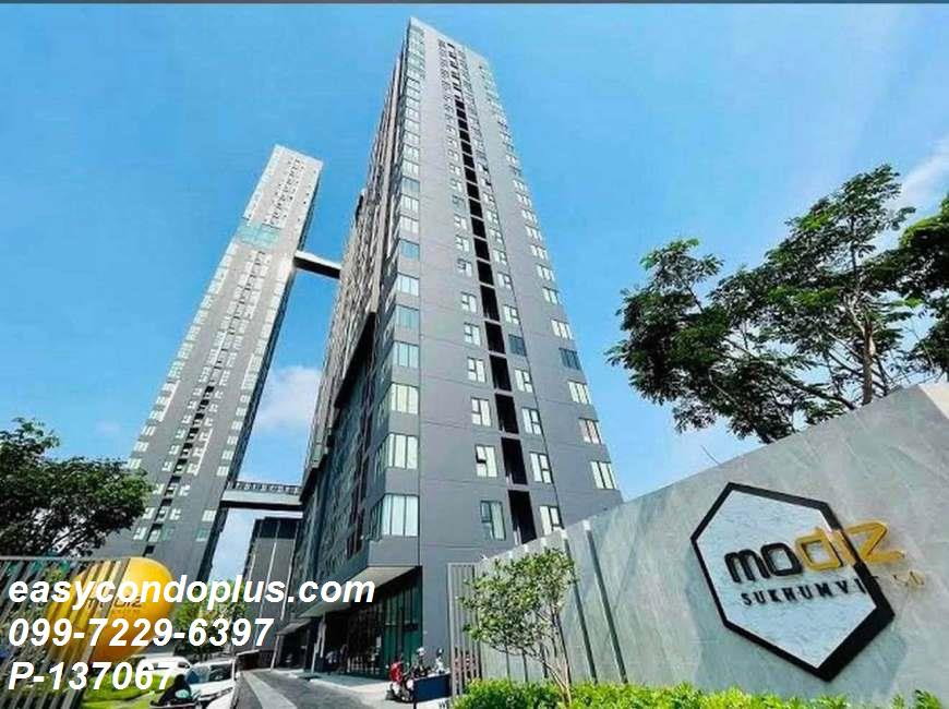 รูป 🏷️ P-137067 | Modiz Sukhumvit 50 : โมดิซ สุขุมวิท 50 คุ้มค่าในย่านสุขุมวิท! ใกล้ BTS อ่อนนุช 15,000 บ. | Line:@easycondoplus | 099-229-6397 - รูปที่ 7/8