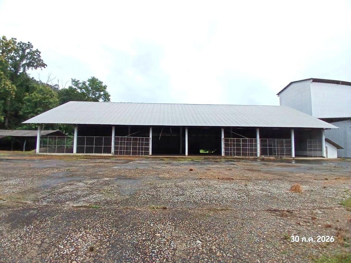 picture FACTORY 2632 Sq.w. Khun Yuam Mae Hong Son for 11.8M - 19/37