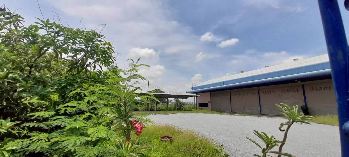 picture FACTORY 1600 Sq.w. Muang Suphanburi Suphanburi for 12.5M - 1/11