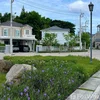 listing thumbnail image 1