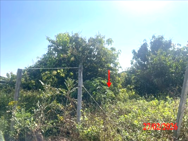 รูป ที่ดินว่างเปล่า 314 ตร.วา เวียงหนองล่อง ลำพูน 1.4M - รูปที่ 4/11