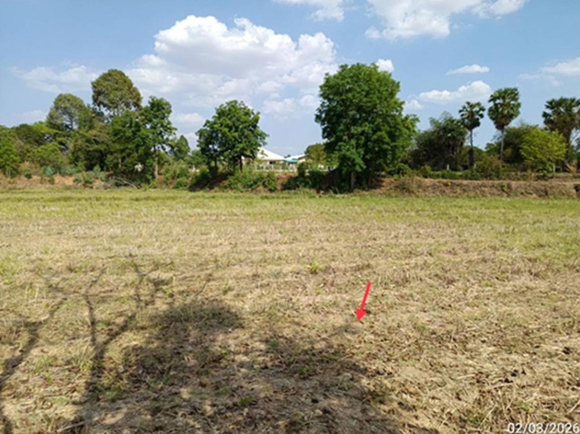 picture LAND 980 Sq.w. Phimai Nakhon Ratchasima for 588,000 - 21/25