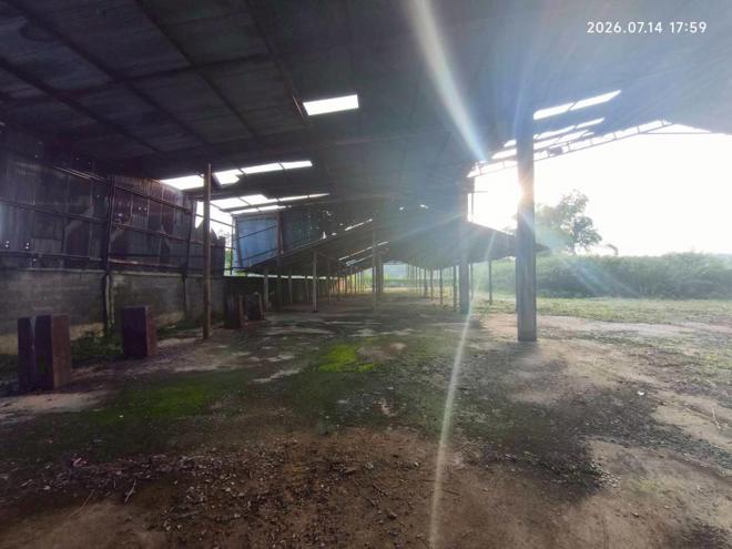 รูป โกดัง 1579 ตร.วา เวียงป่าเป้า เชียงราย 4M - รูปที่ 10/53
