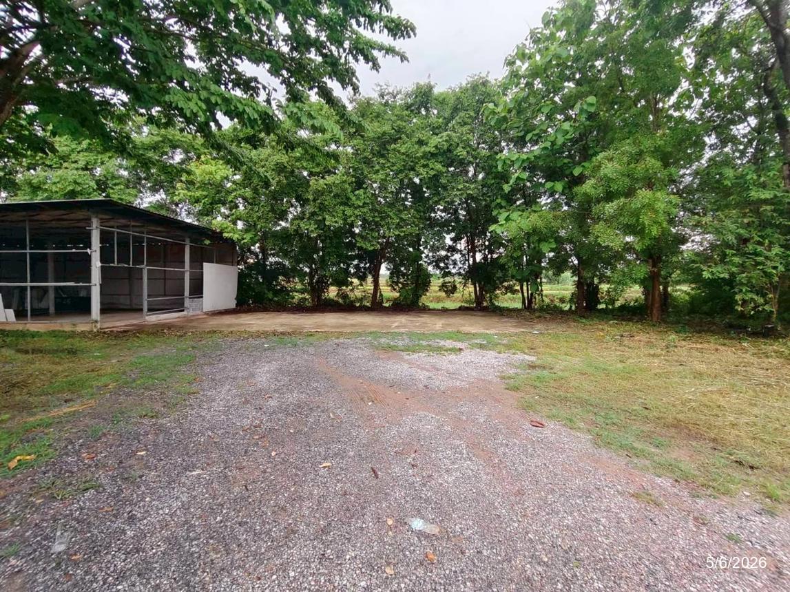 รูป บ้านเดี่ยว 2321 ตร.วา เมืองชัยภูมิ ชัยภูมิ 3.2M - รูปที่ 41/53