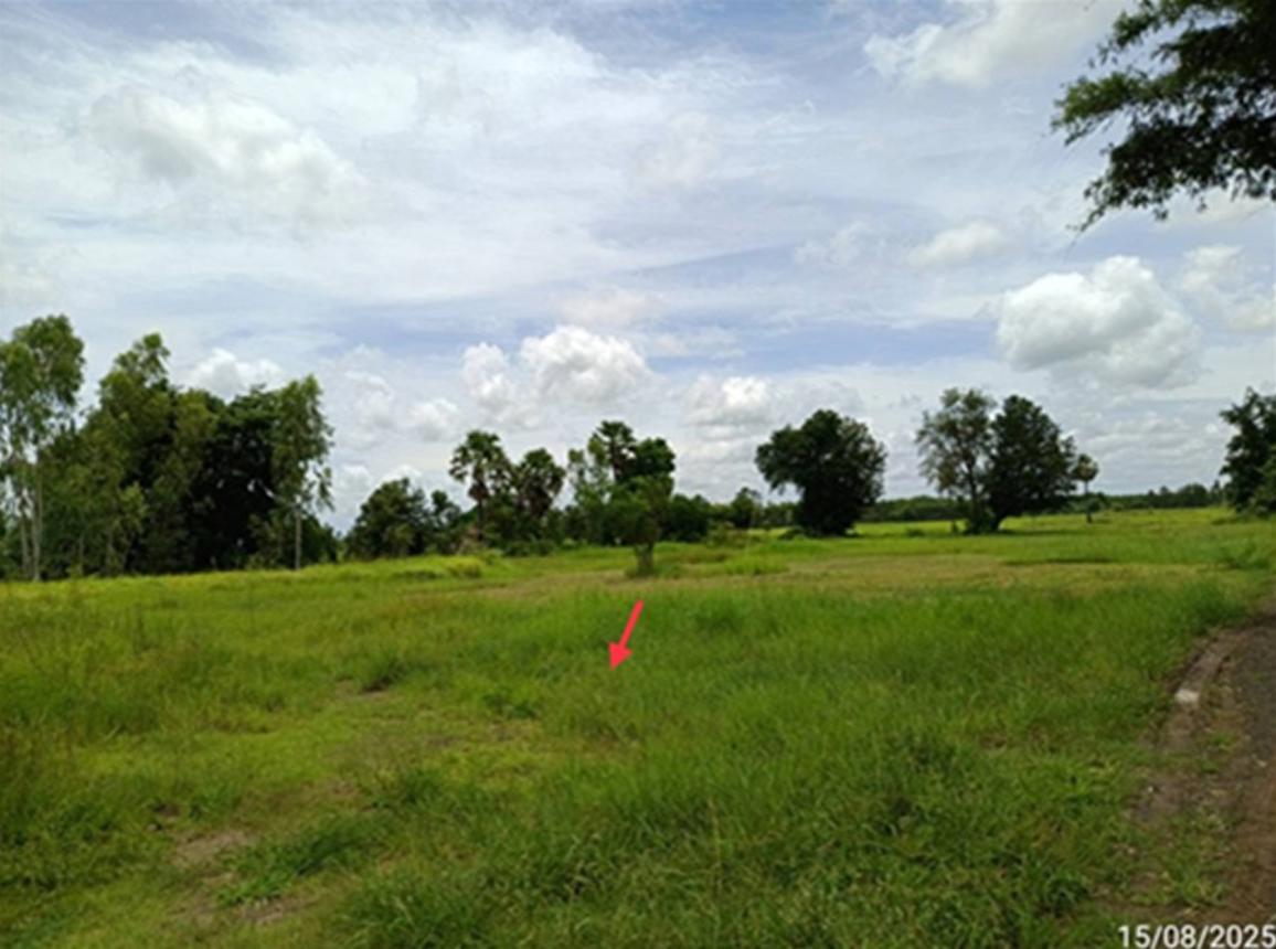 picture LAND 1482 Sq.w. Chum Phuang Nakhon Ratchasima for 3.3M - 15/21