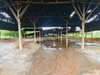 listing thumbnail image 34