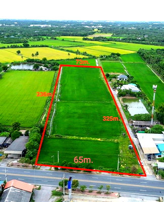 Land for sale Nakhon Pathom : URGENT SALE! 14-RAI PRIME LAND ON SALAYA–Nakhon Chai Si ROAD