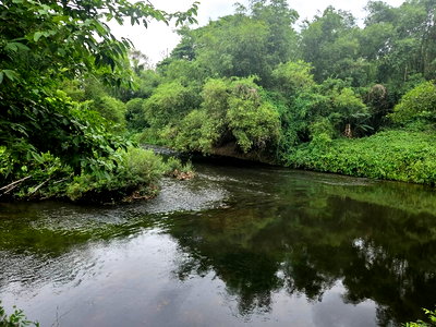 ที่ดิน เมืองนครนายก นครนายก : ที่ดินป่าสวยๆ 8ไร่ ติดคลองนครนายก 