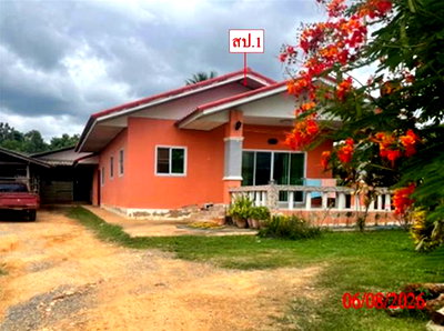 บ้านเดี่ยว ลำพูน : บ้านเดี่ยว 256 ตร.วา ลี้ ลำพูน 2.4M