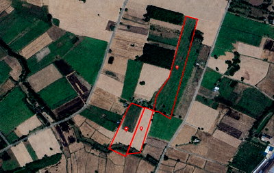 Land for sale Kranuan Khon Kaen : 36 Rai Land for Sale Nong Ko Kranuan Khon Kaen