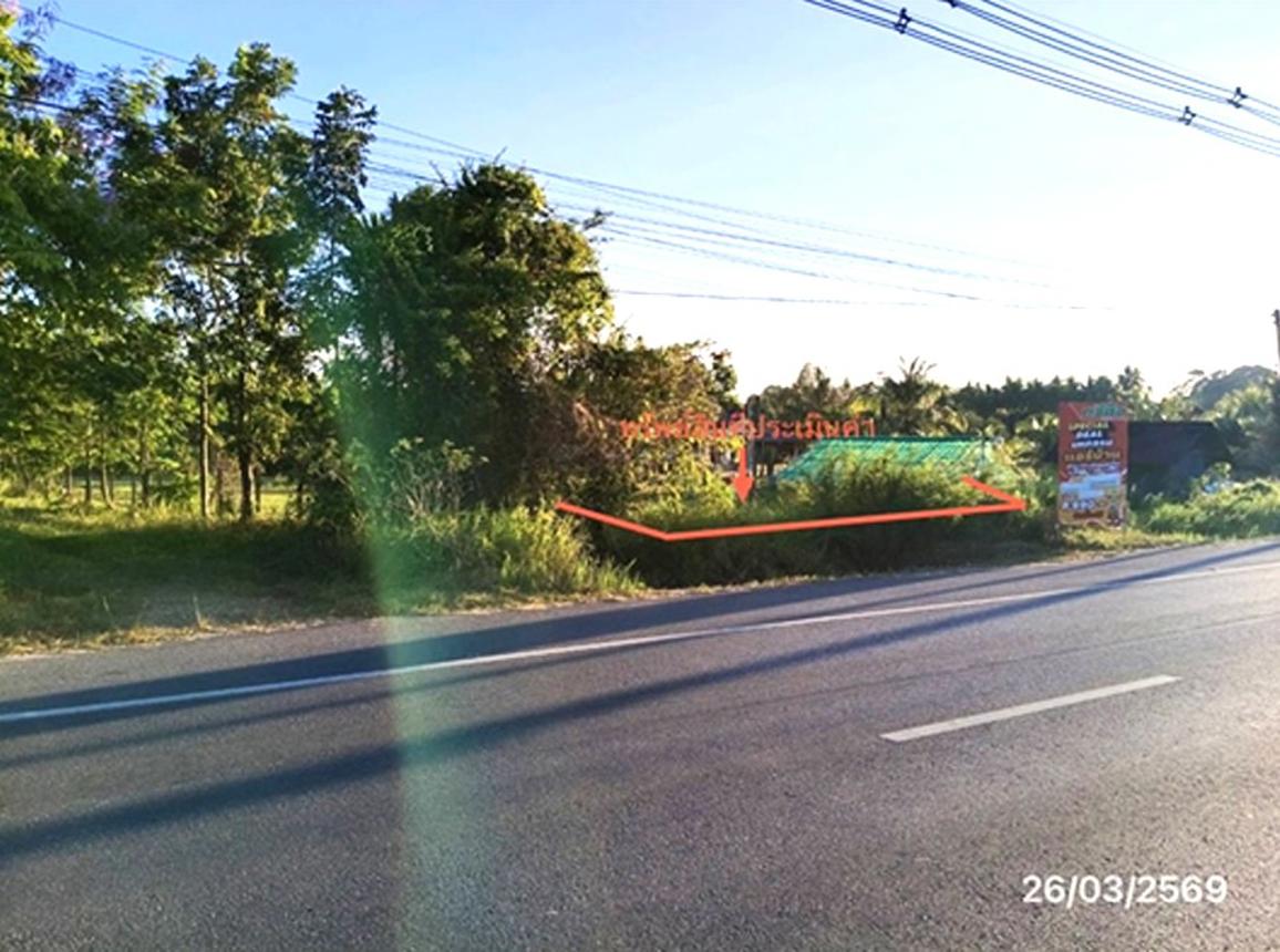 รูป ที่ดินว่างเปล่า 133 ตร.วา เมืองพัทลุง พัทลุง 4M - รูปที่ 11/21