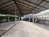 listing thumbnail image 52