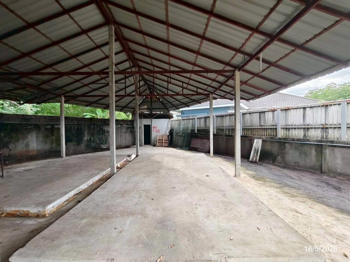 รูป บ้านเดี่ยว 197 ตร.วา เมืองเลย เลย 4.4M - รูปที่ 53/61
