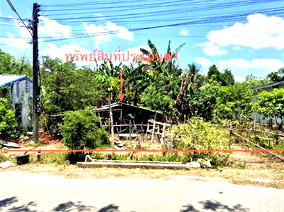 Land for sale Muang Trang Trang : LAND 62 Sq.w. Muang Trang Trang for 620,000