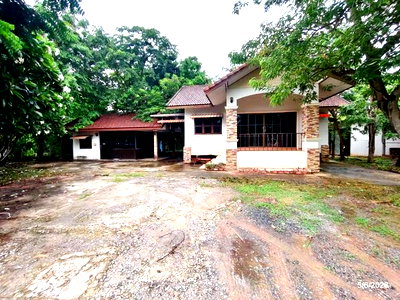 Houses for sale Chaiyaphum : HOME 2321 Sq.w. Muang Chaiyaphum Chaiyaphum for 3.2M