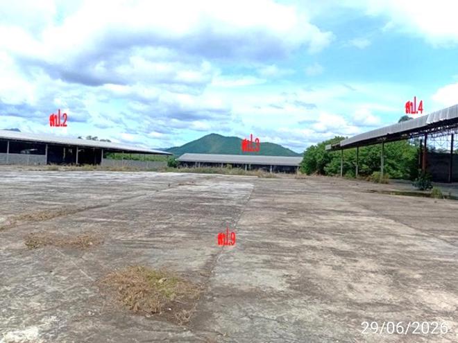 picture FACTORY 11967 Sq.w. Tha Li Loei for 71.7M - 24/53