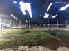 listing thumbnail image 39