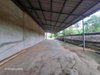 listing thumbnail image 54