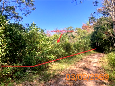 ที่ดิน เกาะยาว พังงา : ที่ดินว่างเปล่า 1406 ตร.วา เกาะยาว พังงา 1.4M