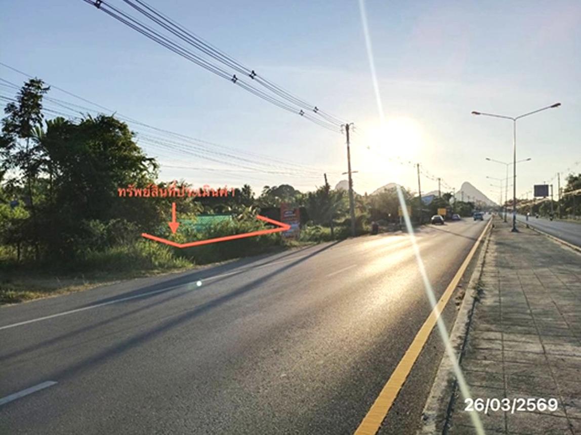 รูป ที่ดินว่างเปล่า 133 ตร.วา เมืองพัทลุง พัทลุง 4M - รูปที่ 16/21